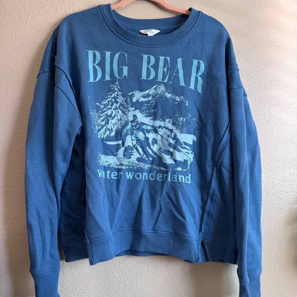 Big Bear Winter Wonderland Blue Graphic Sweatshirt
